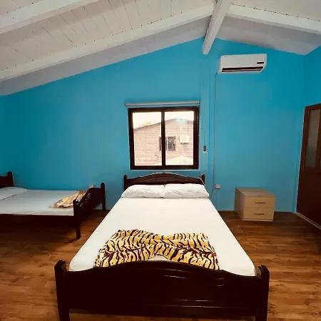 Favela Chic ゲストハウス